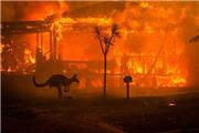 دلیل آتش‌سوزی‌های استرالیا چیست؟