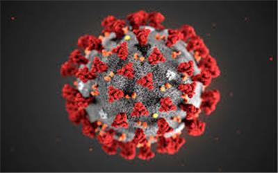 جهش جدید ویروس کرونا در نروژ