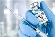 آلمان: در صورت تائید اداره دارویی اروپا آماده استفاده از واکسن روسی هستیم