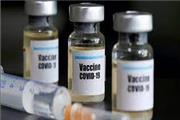 رئیس انستیتو پاستور ایران اعلام کرد ایمنی 80 درصدی واکسن کرونای «پاستور»/در خرید واکسن هیچ عدالتی در میان نیست