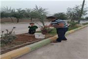 آیین درختکاری بمناسبت عید مبعث در شهر ترکالکی شهرستان گتوند