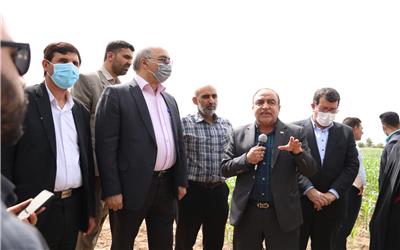 مطالبه جدی شورا، شهرداری و رسانه ها در خصوص پارک جنگلی لاله دزفول