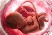 مجازات سخت قوه قضائیه برای هر فردی که موجب سقط جنین شود