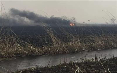 دود آتش سوزی در بخش عراقی تالاب هورالعظیم برخی مناطق خوزستان را در بر گرفت