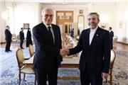 باقری مطرح کرد: لزوم تداوم همکاری ایران و روسیه با دیگر کشورهای مستقل برای مقابله با یکجانبه‌گرایی
