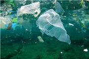 وجود 170 تریلیون ذره پلاستیکی در دریاها و اقیانوس‌ها/ پلاستیک بلای جان آبزیان